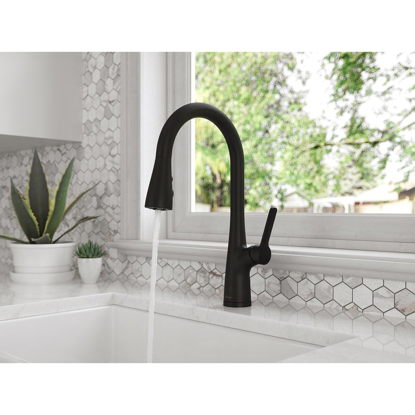 NEERA LG529-NEB Kitchen Faucet