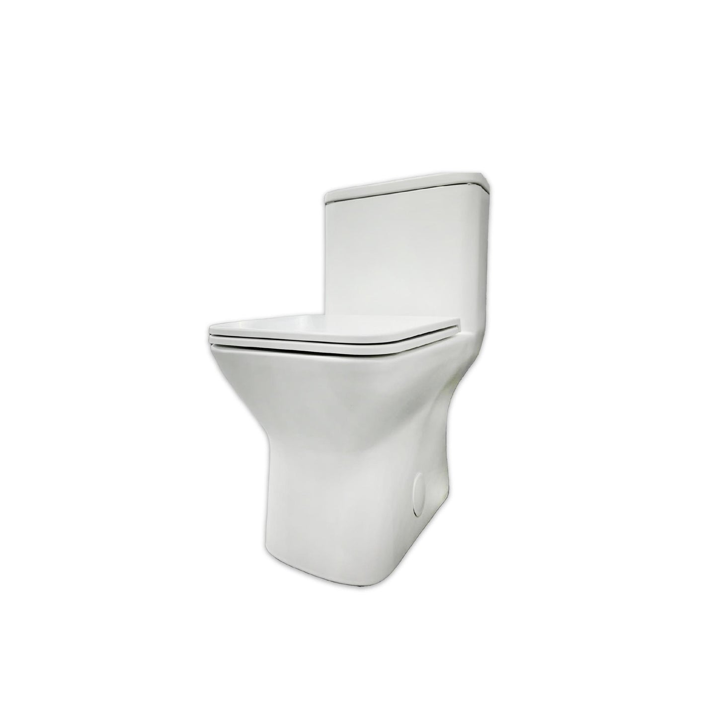 Inodoro CL-12248AYD