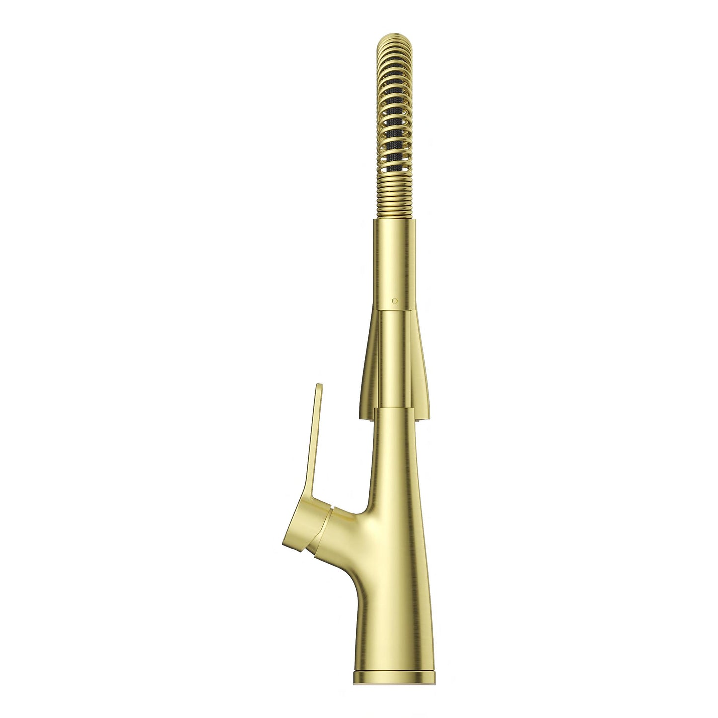 NEERA LG529-NECBG Kitchen Faucet