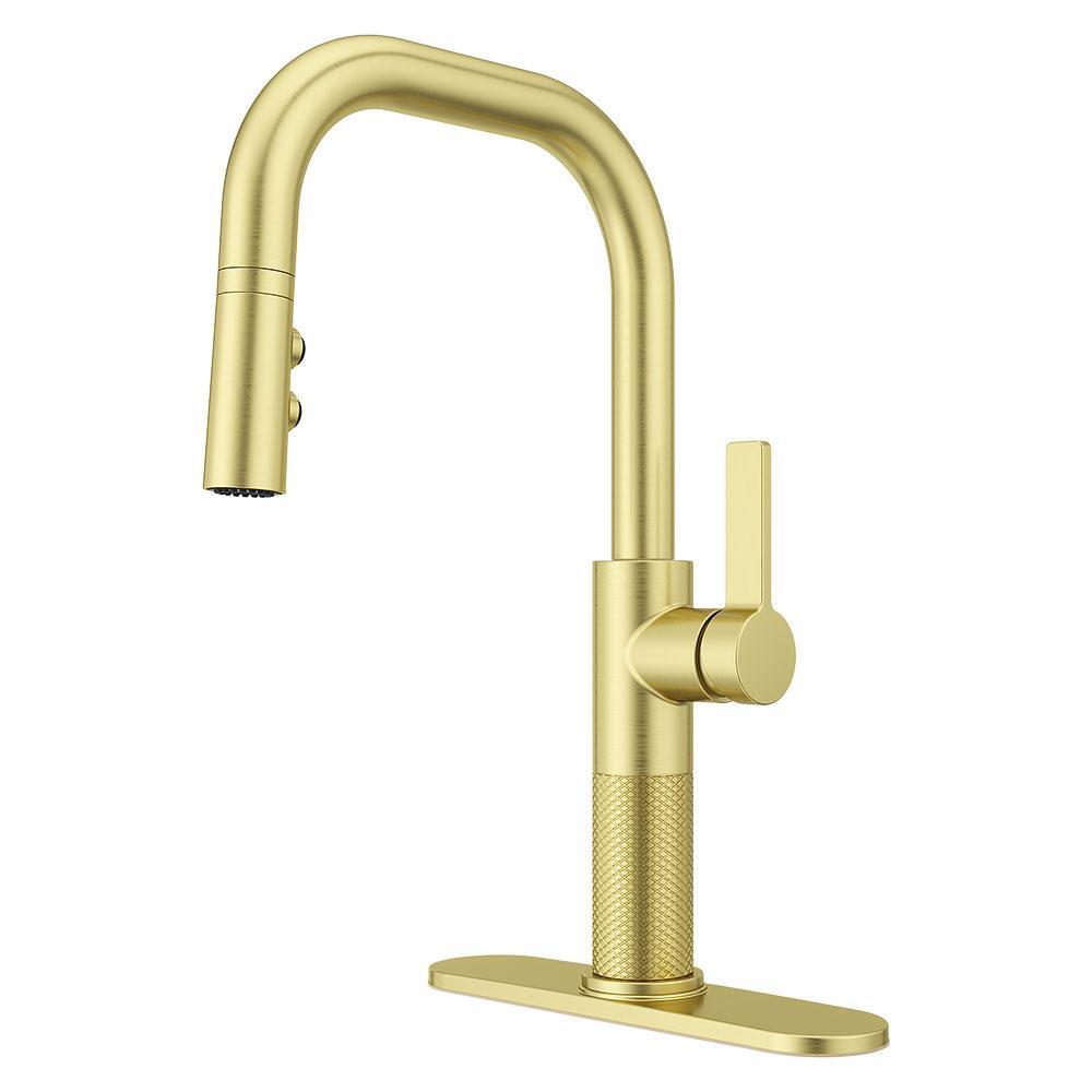 Montay 1-Handle Pull-Down Kitchen Faucet GT529-MTBG