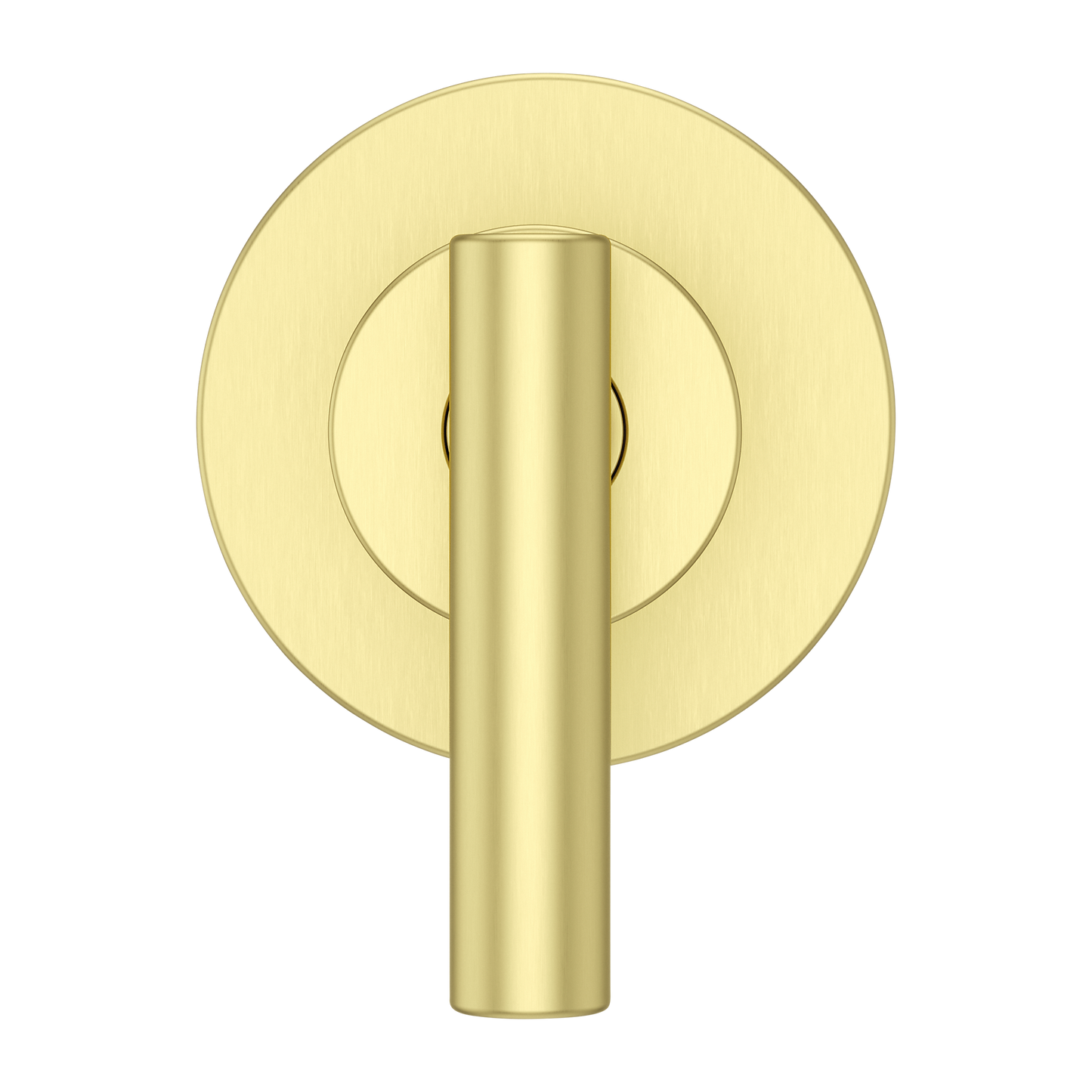 016-NC1BG Contempra Diverter Trim