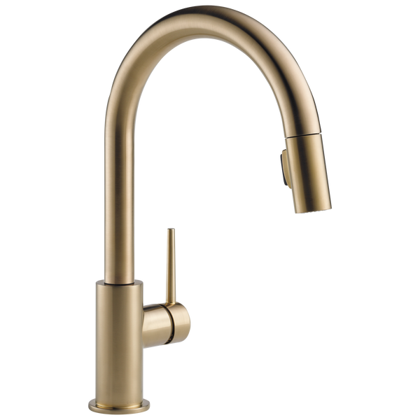 Trinsic 9159-CZ-DST