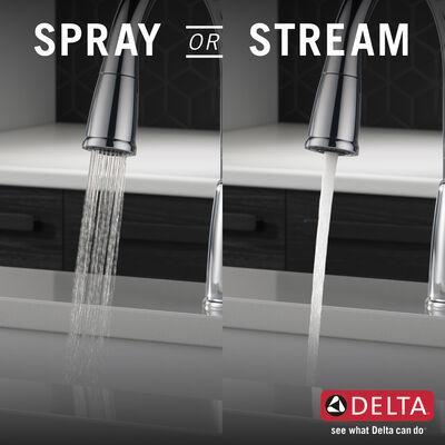 Classic Kitchen Faucet  19810-DST