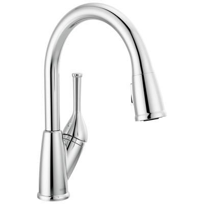 Classic Kitchen Faucet  19810-DST
