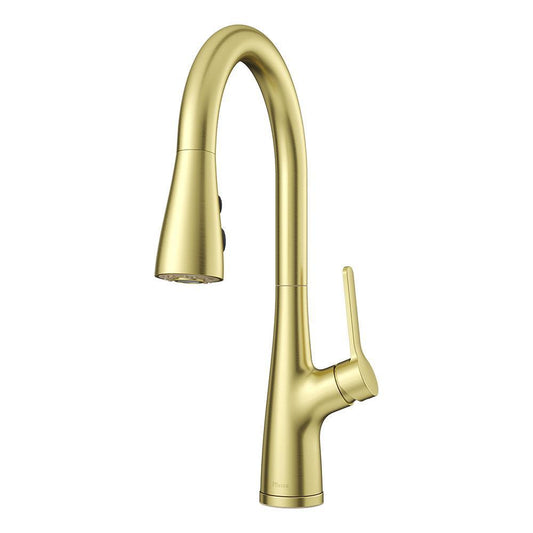 Neera 1-Handle Pull-Down LG529-NEBG
