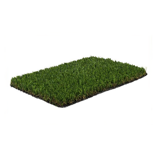 BASIC PLUS VERDE