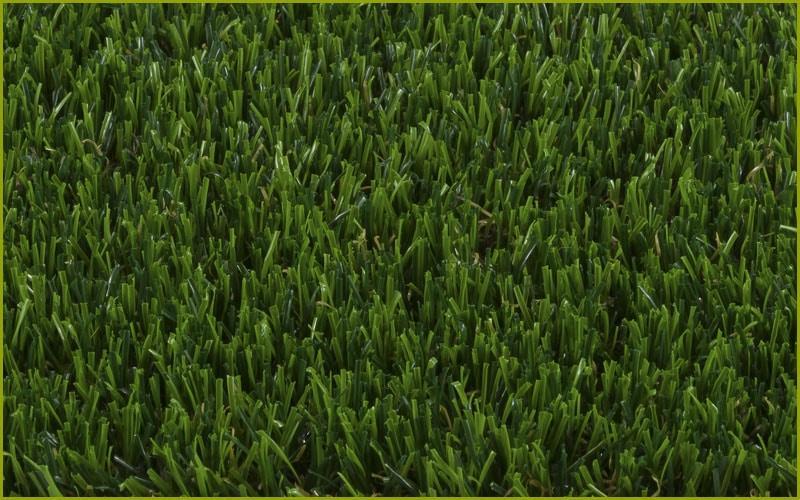 BASIC PLUS VERDE
