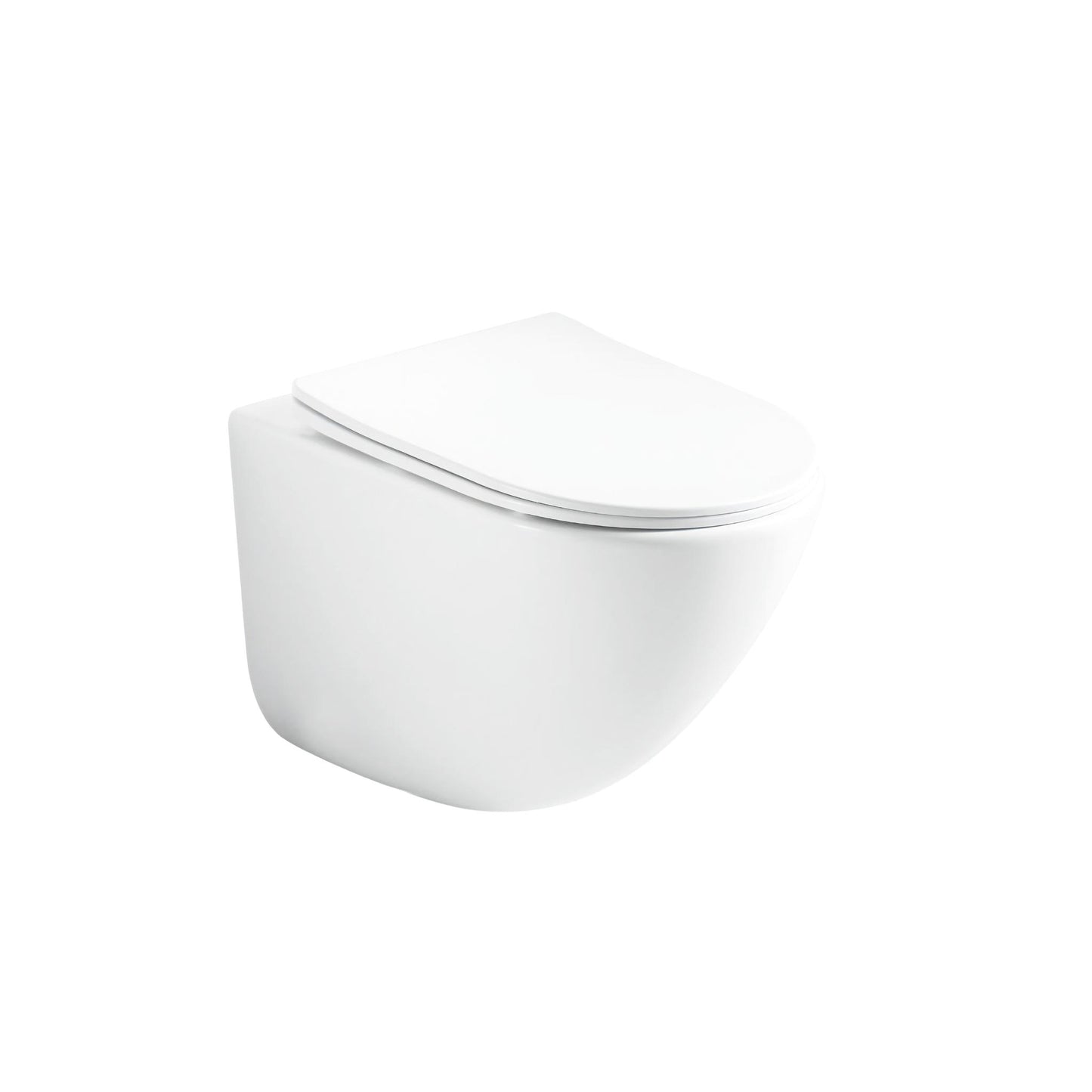 CL-11051 / CL-17010 PARED