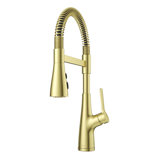 NEERA LG529-NECBG Kitchen Faucet